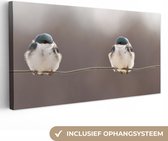 OneMillionCanvasses - Canvas schilderij - Vogel - Dieren - Natuur - Draad - Canvasdoek - 40x20 cm - Foto op canvas