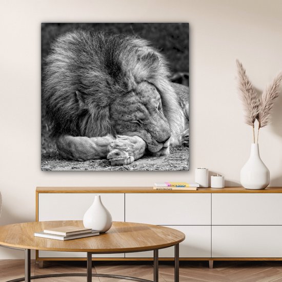 Toile de lion endormie 2cm 90x90 cm - Tirage photo sur toile (Décoration murale salon / chambre) / Peintures sur toile animaux sauvages