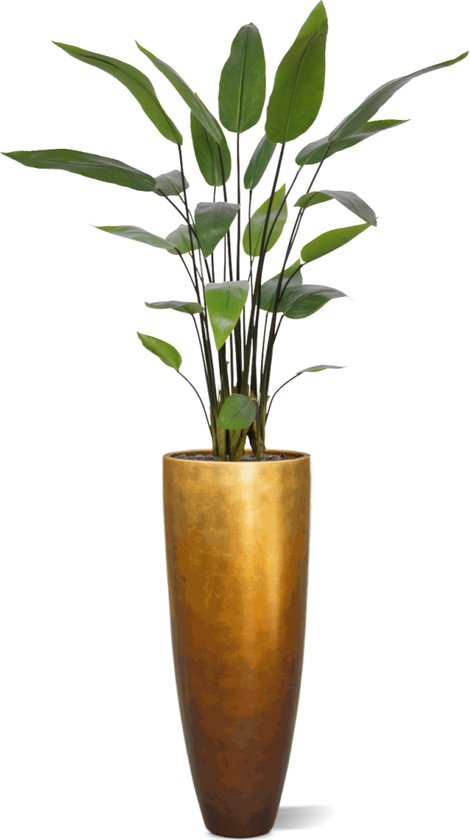 Plante artificielle Water Canna 120 cm