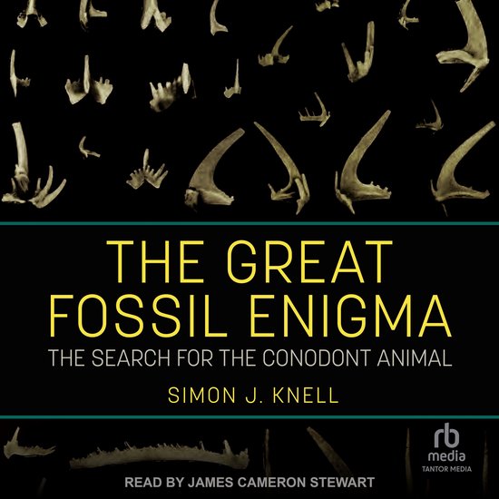 The Great Fossil Enigma - cover