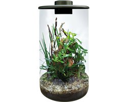 BIOART Glazen plantencilinder 285 zwart met LED 4 liter terrarium voor vochtminnende planten