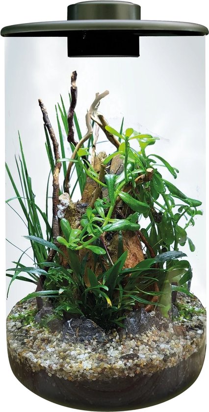 Bioart cylinder 285 zwart - glazen domes met ledverlichting