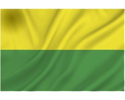 Vlag Den Haag
