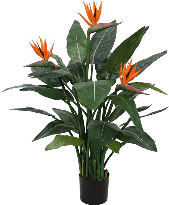 Designplants Strelitzia Kunstplant