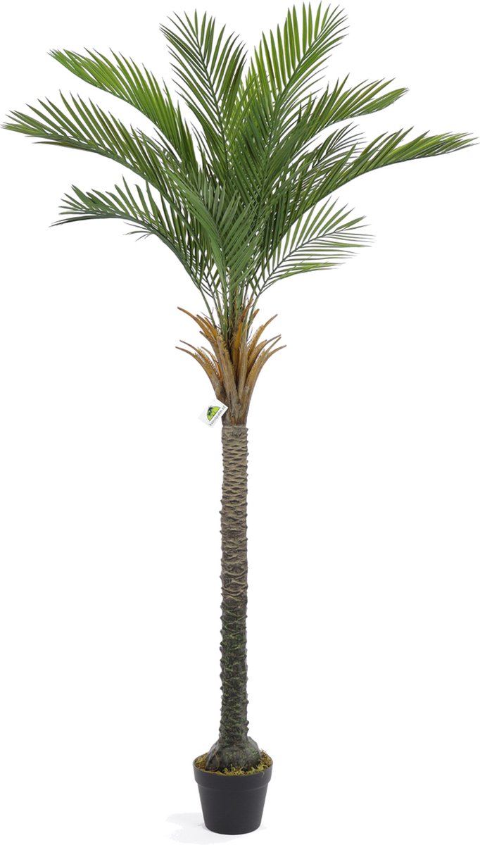 Kunstpalm Kunst Palmboom California | 175cm - Namaak palmboom - Kunstplanten voor binnen - Kunstpalm Grijs