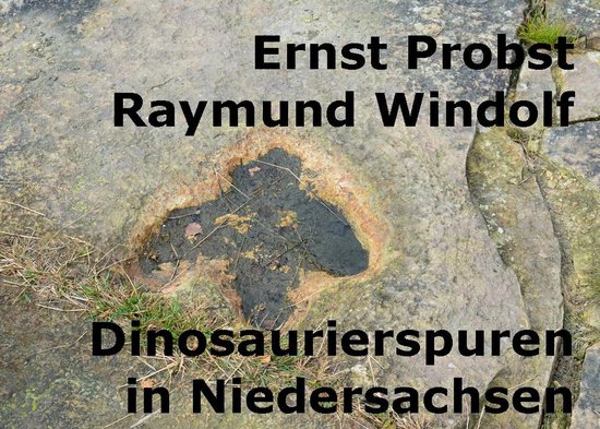 Dinosaurierspuren in Niedersachsen - cover