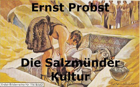 Die Salzmünder Kultur - cover