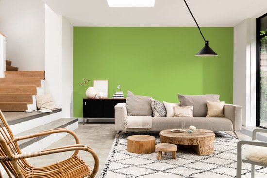 Levis EasyClean - Mur Mat Mix - Vert Clair B60 - 1L