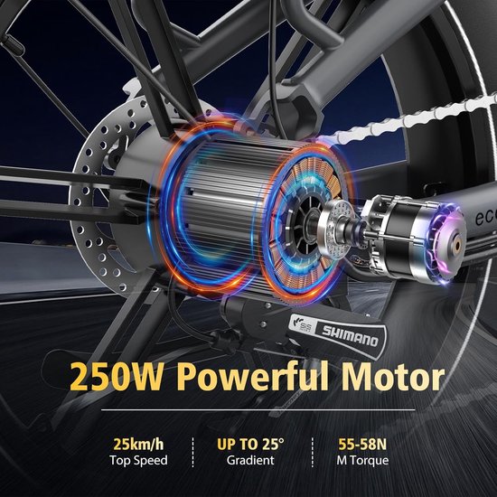 ECORUSH Vélo électrique ECO R6 - 20*4,0 pouces Fat Tire City Commuter EBike avec batterie au lithium amovible 48V 15,6 Ah - Vélo électrique de montagne avec moteur 250W - 7 vitesses - IP54 étanche