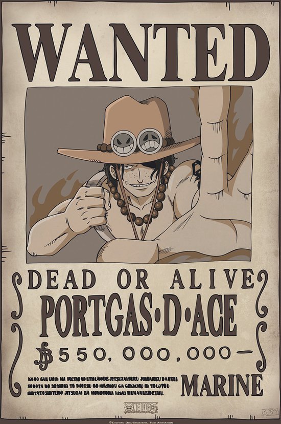 One Piece Wanted Unisex Poster - meerkleurig - Standard