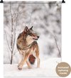 Loup, Neige
