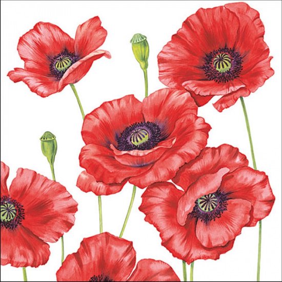 Klaprozen/poppy bloemen - 20x stuks - 33 x 33 cm - Papieren wegwerpservetten 3-laags
