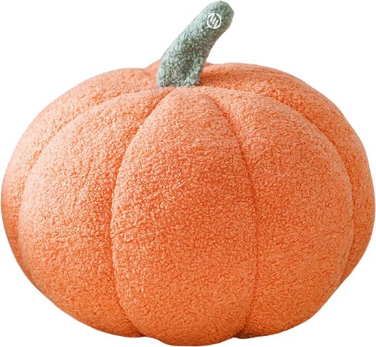 DEDEMCO Zonnebloem Vloerkussens Bloem Zitkussen, 30 cm Geel Bloem Pluche Sofa Stoel Kussen Leuke Zitkussen voor Lezen en Loungen Comfortabel Kussen