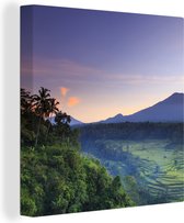 Canvas Schilderij Indonesië - Natuur - Rijst - 50x50 cm - Wanddecoratie