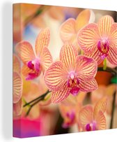Canvas Schilderij Plant - Orchidee - Bloemen - Roze - Flora - 20x20 cm - Wanddecoratie
