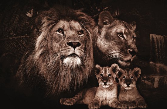 Tableau sur verre Lion et tigre avec petits