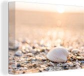 Toile - Peintures sur Toile - Coquillages - Plage - Soleil - Décoration de Chambre - Impression sur Canvasdoek - Photo sur Toile - 80x60 cm - Salon