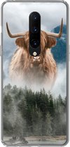 Geschikt voor OnePlus 7 Pro hoesje - Schotse hooglander - Koeien - Mist - Siliconen Telefoonhoesje