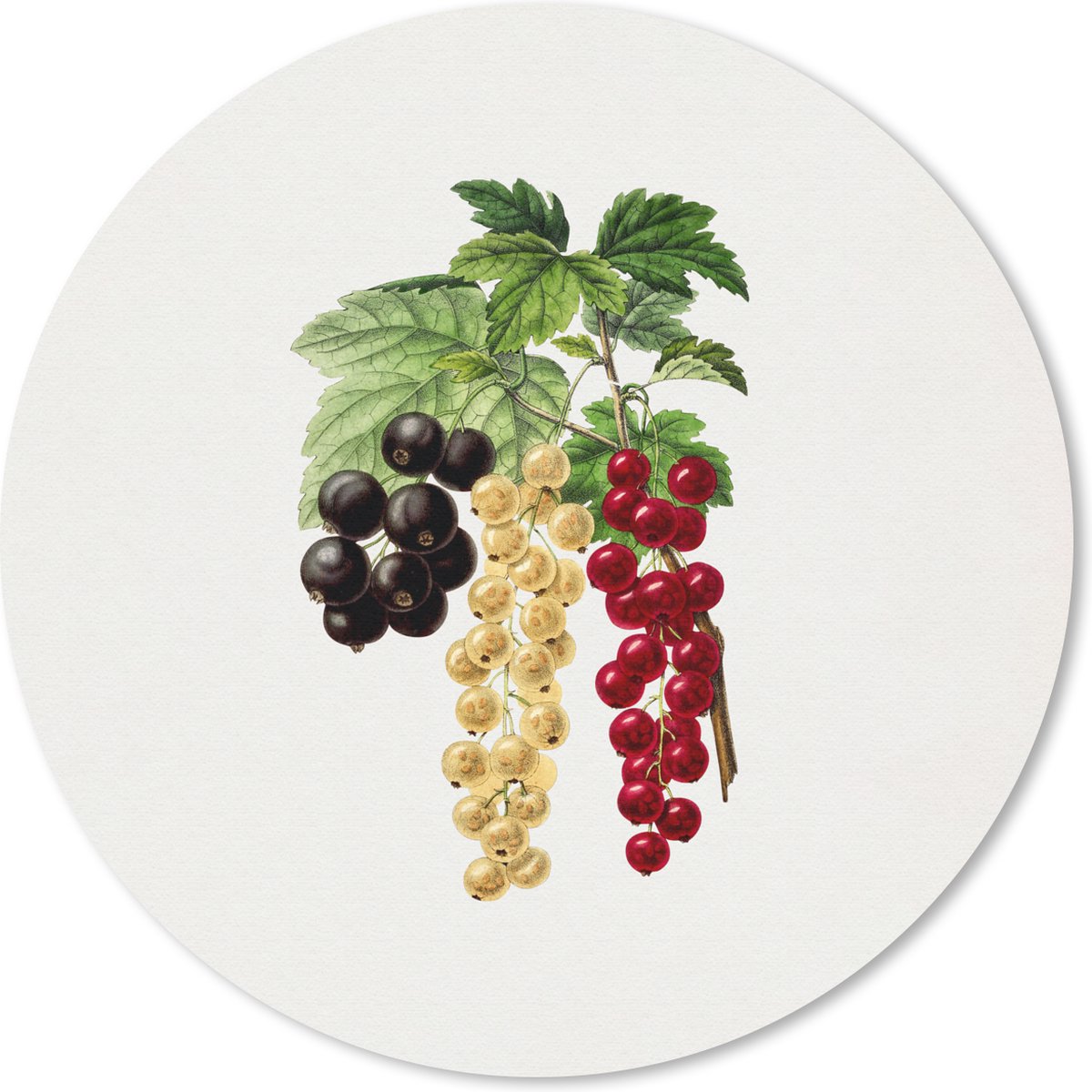 Muismat rond 30x30 cm - Mousepad Bessen - Eten - Plant - Ronde muismatten
