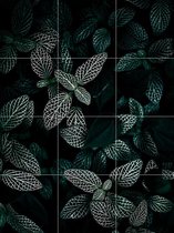 IXXI Dark Leaves - Wanddecoratie - Bloemen en Planten - 60 x 80 cm