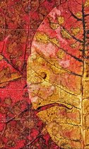 IXXI Dying Leaf - Wanddecoratie - Abstract - 60 x 100 cm