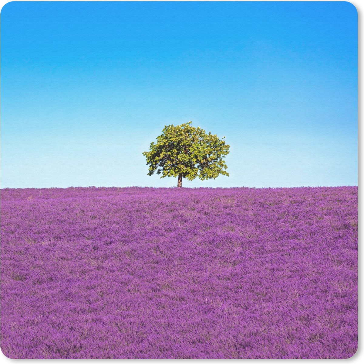 Muismat 30x30 cm - Mousepad Boom - Paars - Lucht - Lavendel - Muismatten