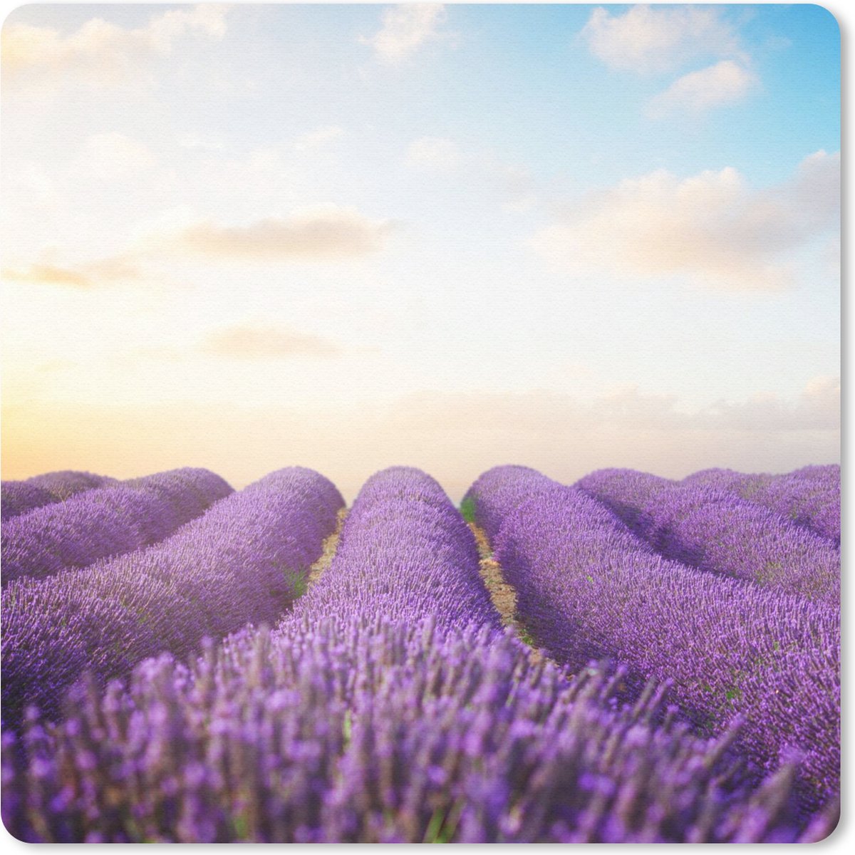 Muismat 20x20 cm - Mousepad Lavendel - Lucht - Wolken - Bloemen - Muismatten