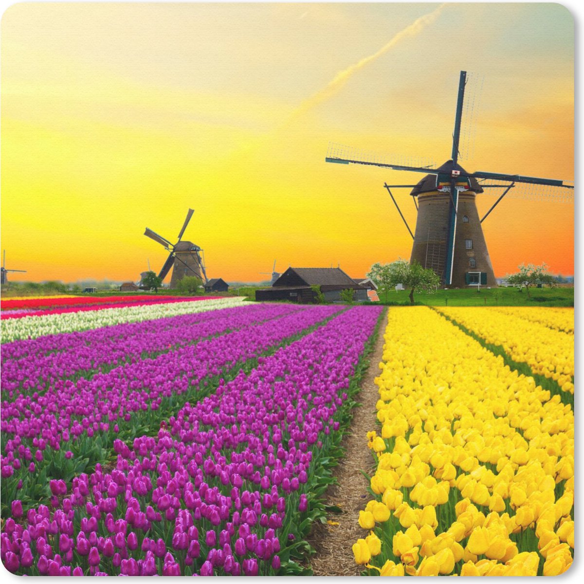 Muismat 30x30 cm - Mousepad Windmolen - Tulpen - Bloemen - Lente - Muismatten