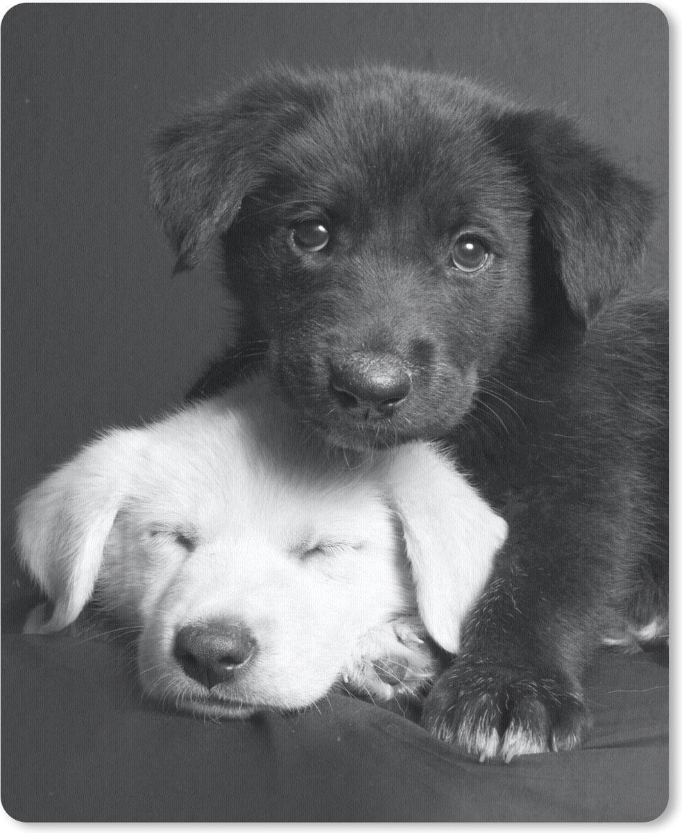 Muismat 19x23 cm - Mousepad Honden - Puppy - Zwart - Wit - Dieren - Muismatten