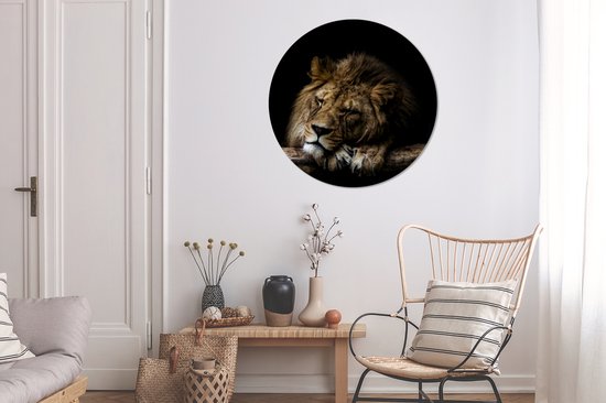 Papier peint Circle - Lion - Arbre - Marron - 100x100 cm XXL