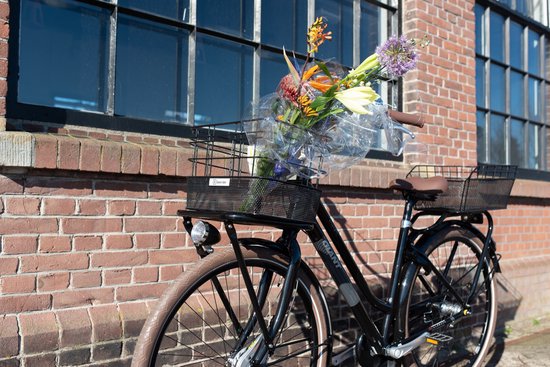 Fastrider Olav Porte-vélos Avant - Zwart - 27 L - Montage fixe - Métal