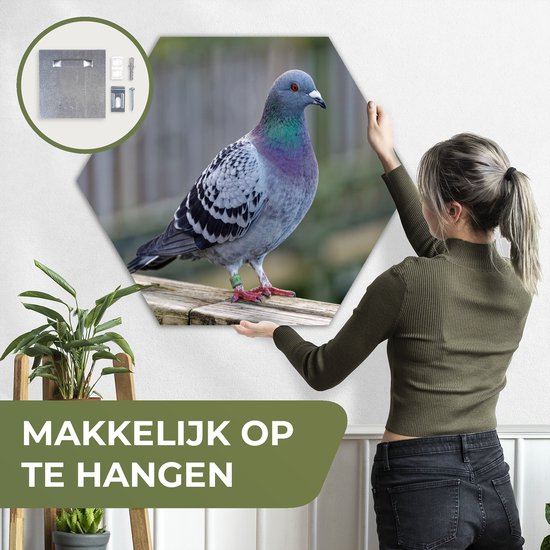 Hexagon wanddecoratie - Kunststof Wanddecoratie - Hexagon Schilderij - Duif - Vogel - Paars - Veren - 120x103 cm