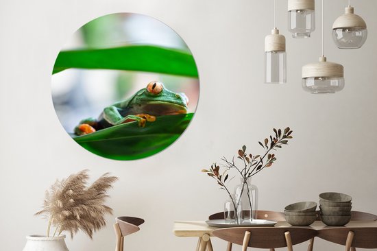 WallCircle - Muurstickers - Behangcirkel - Kikkers in de natuur van Costa Rica - ⌀ 120 cm - Muurcirkel - Zelfklevend - Ronde Behangsticker XXL