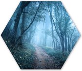 Hexagon wanddecoratie - Kunststof Wanddecoratie - Hexagon Schilderij - Bomen - Natuur - Mist - 75x65 cm
