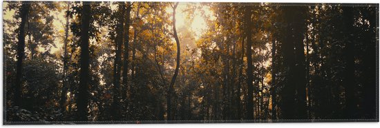 WallClassics - Vlag - Schemer in het Bos - 60x20 cm Foto op Polyester Vlag