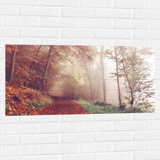 WallClassics - Muursticker - Mistig Herfstbos - 100x50 cm Foto op Muursticker