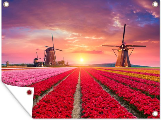 Tuinposter - Tuindoek - Tuinposters buiten - Bloemen - Windmolen - Tulpen - Zonsondergang - Roze - 120x90 cm - Tuin