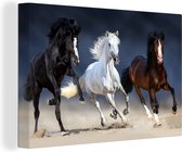 Peintures sur toile Paarden - Animaux - Sable - 180x120 cm - Décoration murale XXL