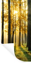 Muurstickers - Sticker Folie - Bos - Zon - Bomen - Gras - Landschap - Natuur - 80x160 cm - Plakfolie - Muurstickers Kinderkamer - Zelfklevend Behang - Zelfklevend behangpapier - Stickerfolie