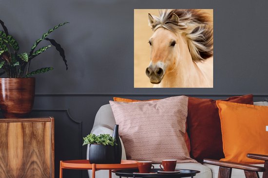 Affiche Paarden - Animaux - Crinières - Portrait - 50x50 cm