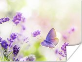 Poster Lavendel - Vlinder - Bloemen - 40x30 cm