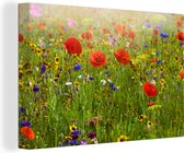 Canvas Schilderij Lente - Bloemen - Rood - Klaproos - Gras - Groen - 60x40 cm - Wanddecoratie
