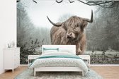 Behang - Fotobehang Schotse hooglander - Natuur - Herfst - Dieren - Wild - Bos - Breedte 400 cm x hoogte 300 cm