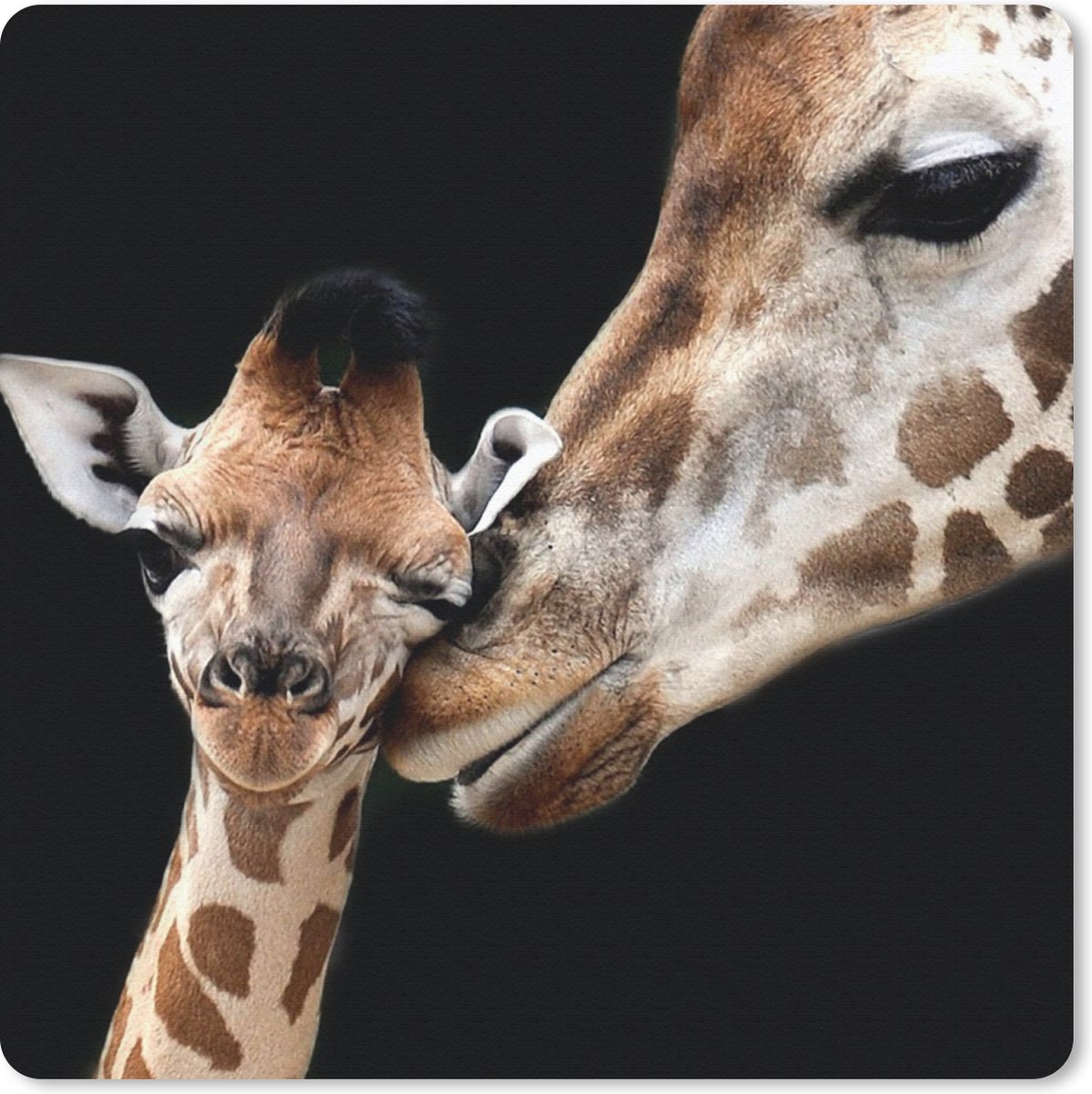 Muismat 20x20 cm - Mousepad Giraffe - Dieren - Zwart - Portret - Dieren - Muismatten