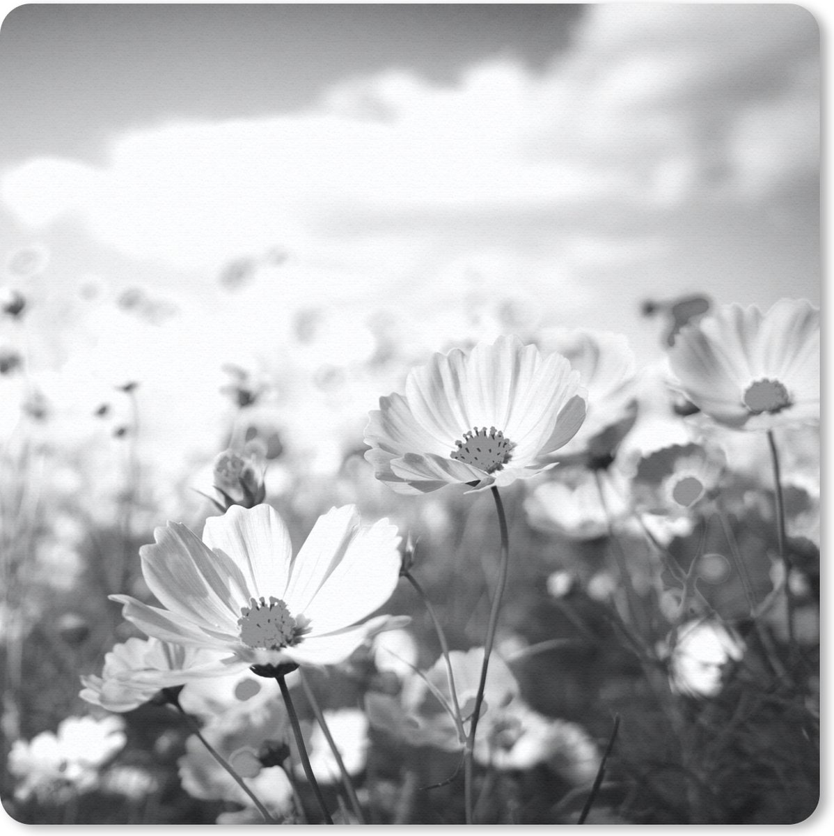 Muismat 20x20 cm - Mousepad Bloemen - Wei - Paars - Gras - Wit - Wolken - Blauw - Muismatten