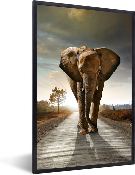 Cadre photo avec affiche - Éléphant - Route - Animaux - Coucher de soleil -  Paysage -... | bol