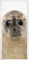 Deursticker kids - Deurdecoratie meisjes - Jongens - Zeehond - Kinderen - Meisjes - Dieren - 95x235 cm - Muurdecoratie jongenskamer - Wanddecoratie