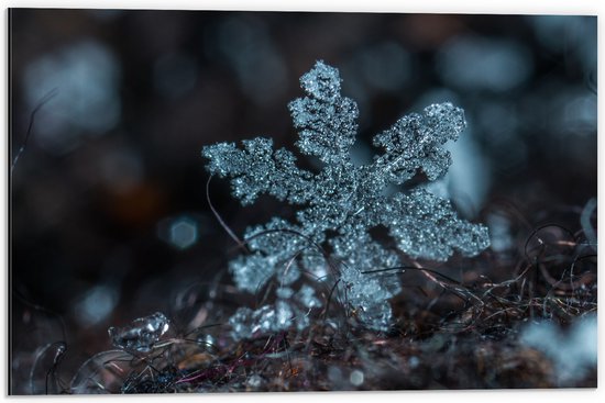 WallClassics - Dibond - Close up van Sneeuwvlok op Aarde - 60x40 cm Foto op Aluminium (Met Ophangsysteem)