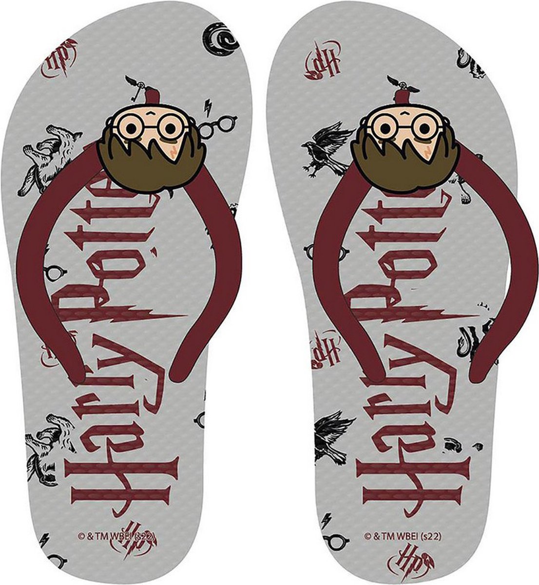 Slippers voor Kinderen Harry Potter