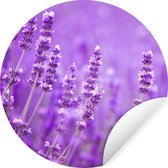 Behangcirkel - Zelfklevend behang - Bloemen - Paars - Lavendel - Natuur - Rond behang - Behang zelfklevend - ⌀ 140 cm - Behangcirkel zelfklevend - Cirkel behang - Slaapkamer